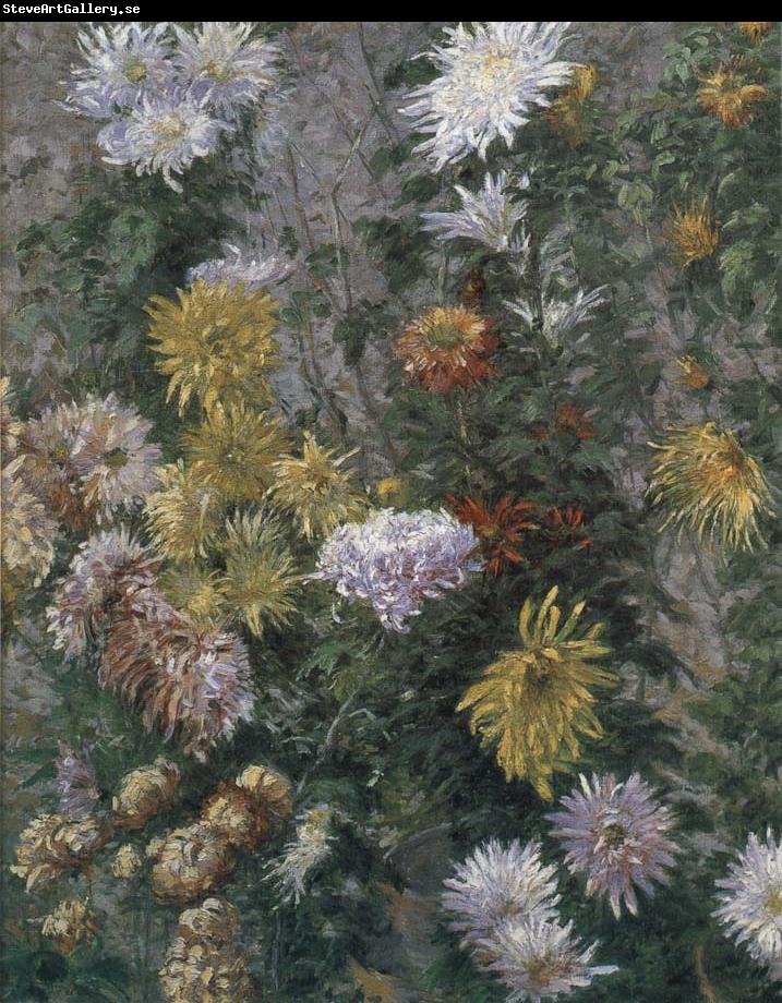 Gustave Caillebotte White and yellow chrysanthemum